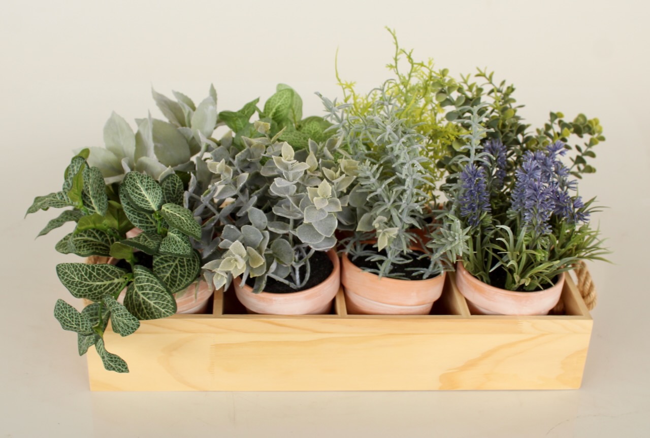 Set Of 8 Herb Pots In Wooden Tray With Handle